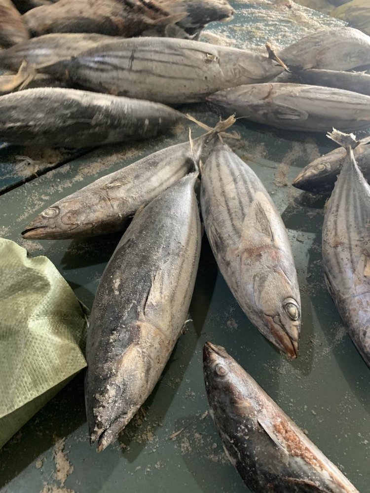 冷凍食品加工與批發(fā) 從西瓜皮魚(yú)到燈光海產(chǎn)品的市場(chǎng)機(jī)遇